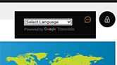 Google In-Page translator